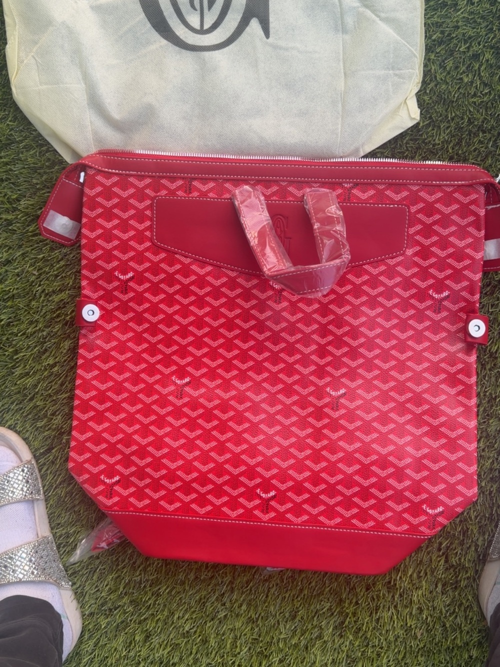 Goyard Red Patterned Backpack Tote